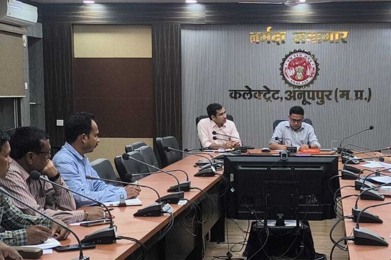 विद्युत से जुड़ी समस्याओं का संवेदनशीलता से समाधान करें-कलेक्टर