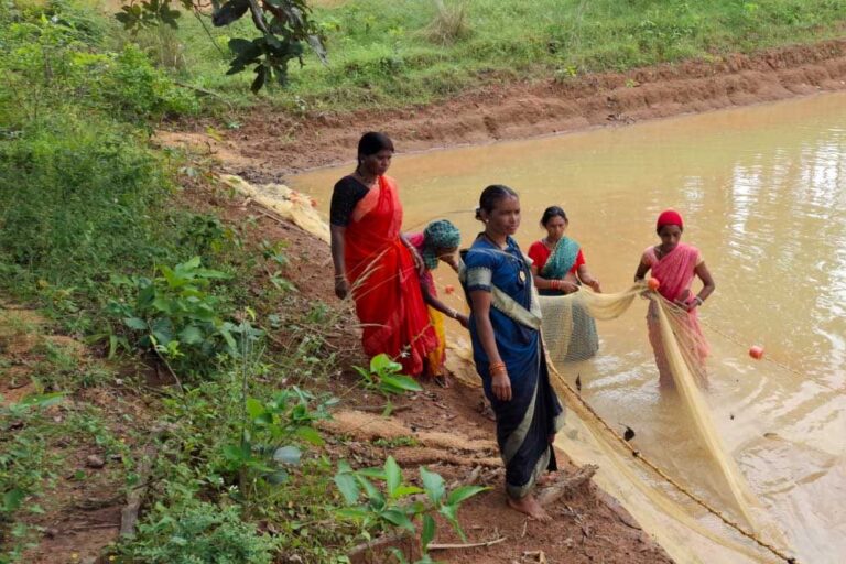 छत्तीसगढ़ के मासुलपानी देश में प्रदेश का मान बढ़ाया, जल संरक्षण को लेकर किया ऐसा काम कि देशभर में दूसरा स्थान मिला