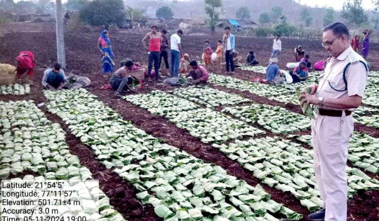 पश्चिम पूर्वी निमाड़ के वनों से वर्ष में 150 करोड़ की आय, 50 हजार महिला-पुरुषों को रोजगार मिला पश्चिम पूर्वी निमाड़ के वनों से वर्ष में 150 करोड़ की आय, 50 हजार महिला-पुरुषों को रोजगार मिला