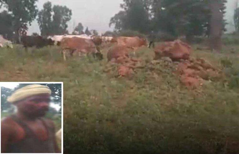 छत्तीसगढ़-जशपुर में फसल चरने रोकने पर दबंगों ने किसानों को किया लहूलुहान छत्तीसगढ़-जशपुर में फसल चरने रोकने पर दबंगों ने किसानों को किया लहूलुहान