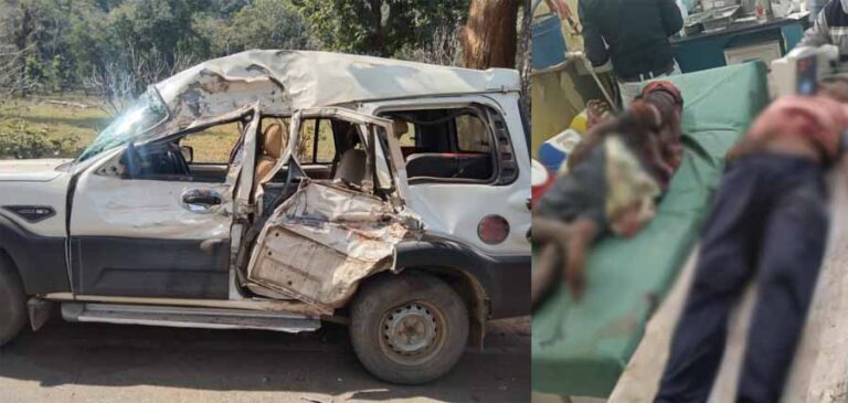 नेशनल हाईवे 30 पर एक तेज रफ्तार स्कॉर्पियो पेड़ से टकराई, 4 युवक घायल, , 2 की हालत गंभीर