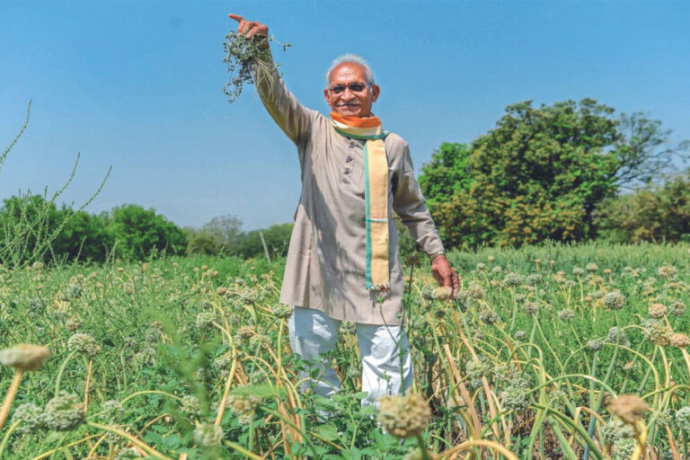 मप्र ने जैविक खेती में नए कीर्तिमान की ओर, रकबा बढ़ाकर 20 लाख हेक्टेयर करने की तैयारी मप्र ने जैविक खेती में नए कीर्तिमान की ओर, रकबा बढ़ाकर 20 लाख हेक्टेयर करने की तैयारी