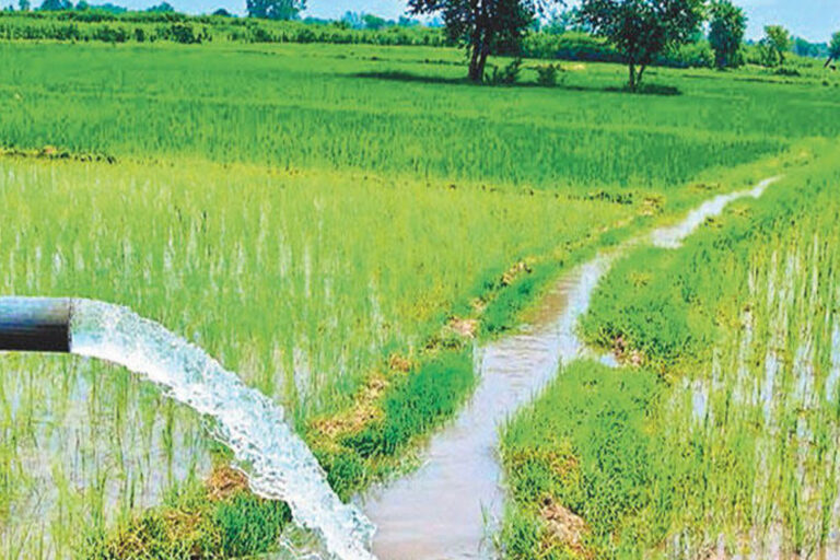 मध्यप्रदेश सरकार किसान हितैषी सरकार है, जो सबसे ज्यादा फिक्र अपने अन्नदाता की करती है: CM यादव