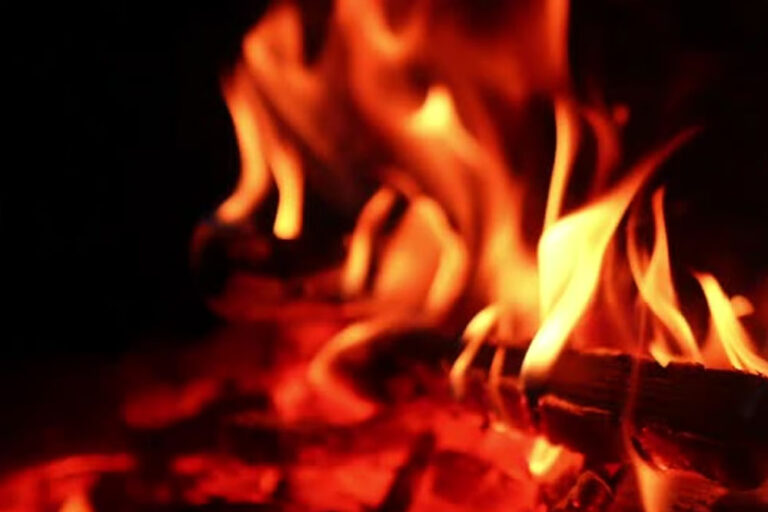 शहर में बढ़ते वायु प्रदूषण को नियंत्रित करने के लिए इस बार शहर में अलाव नहीं जलाए जाएंगे