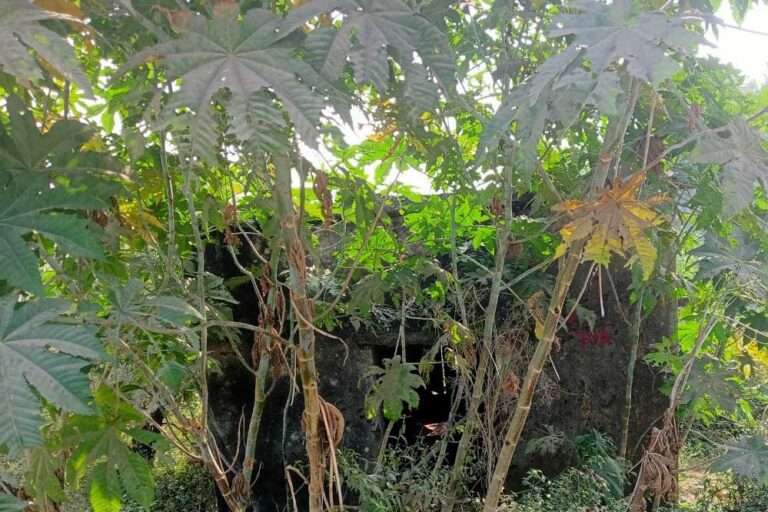 महीनों से बंद पड़ा बरगवां का चीरघर, शवों के पोस्टमार्टम के लिए लोगों को करना पड़ रहा बैढन का रुख महीनों से बंद पड़ा बरगवां का चीरघर, शवों के पोस्टमार्टम के लिए लोगों को करना पड़ रहा बैढन का रुख