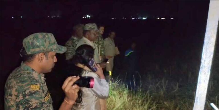 मध्य प्रदेश के डिंडोरी में जमीनी विवाद में 3 लोगों की हत्या मध्य प्रदेश के डिंडोरी में जमीनी विवाद में 3 लोगों की हत्या