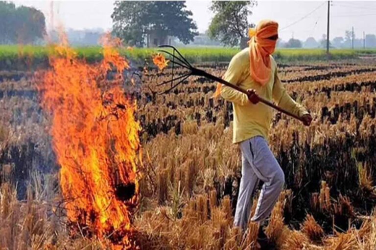 देश की केंद्र सरकार ने पराली जलाने पर रोक लगाने के लिए खर्च किए 3,623 करोड़ रुपये देश की केंद्र सरकार ने पराली जलाने पर रोक लगाने के लिए खर्च किए 3,623 करोड़ रुपये