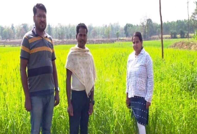 आत्मा योजना : उन्नत कृषि तकनीक को अपनाकर चैतू नेताम बना सफल कृषक आत्मा योजना : उन्नत कृषि तकनीक को अपनाकर चैतू नेताम बना सफल कृषक