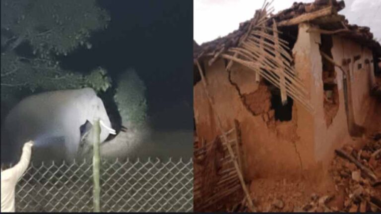 रायगढ़ में गजराज का आतंक, घरों में की तोड़फोड़, ग्रामीणों ने डर में गुजारी रात रायगढ़ में गजराज का आतंक, घरों में की तोड़फोड़, ग्रामीणों ने डर में गुजारी रात