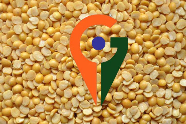 बुंदेलखंड में पैदा होने वाली अरहर दाल को जल्द ही अंतरराष्ट्रीय बाजार में नई पहचान मिलने वाली बुंदेलखंड में पैदा होने वाली अरहर दाल को जल्द ही अंतरराष्ट्रीय बाजार में नई पहचान मिलने वाली