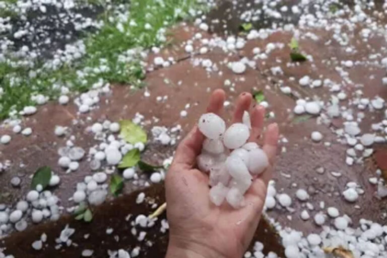 मध्य प्रदेश के मौसम में इस हफ्ते बड़ा उलटफेर देखा जाएगा, मौसम विभाग ने सूबे के कई हिस्सों में बारिश की चेतावनी दी मध्य प्रदेश के मौसम में इस हफ्ते बड़ा उलटफेर देखा जाएगा, मौसम विभाग ने सूबे के कई हिस्सों में बारिश की चेतावनी दी