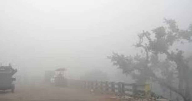 रायपुर शहर में आज भी छाए रहेंगे बादल, फिर अपना रंग दिखाएगी ठंड रायपुर शहर में आज भी छाए रहेंगे बादल, फिर अपना रंग दिखाएगी ठंड