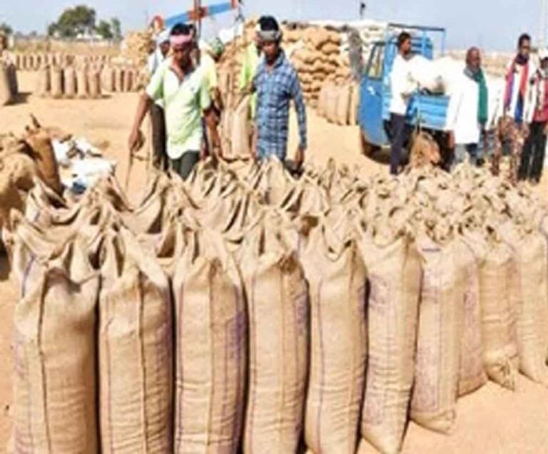 मध्य प्रदेश में 45 लाख टन धान की होगी खरीद