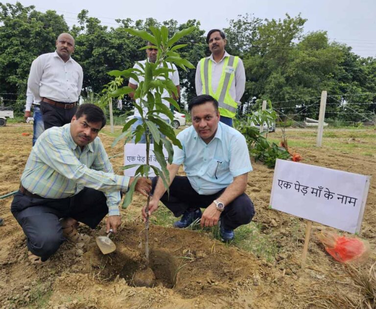 वन एवं जलवायु मंत्रालय की ओर से बड़ी सौगात रहा 2024 में अभियान ‘एक पेड़ माँ के नाम’