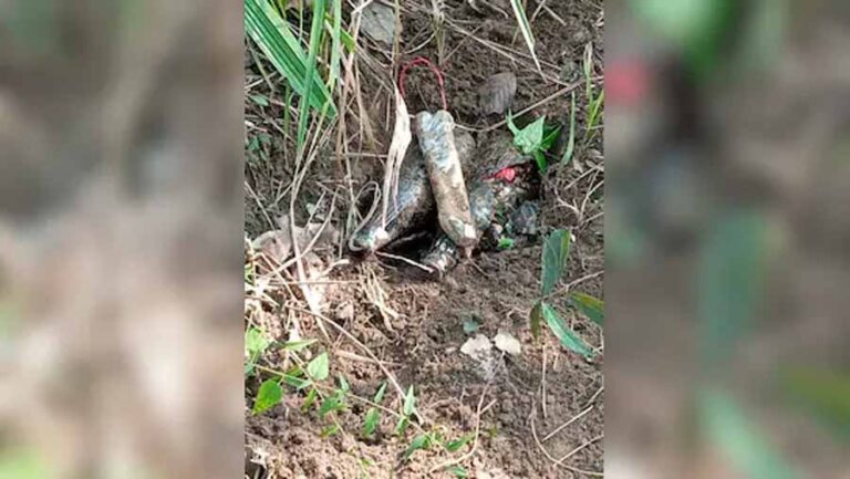 सीआरपीएफ 168 बटालियन एवं थाना बासागुड़ा की टीम ने 8 IED बरामद कर किया नष्ट