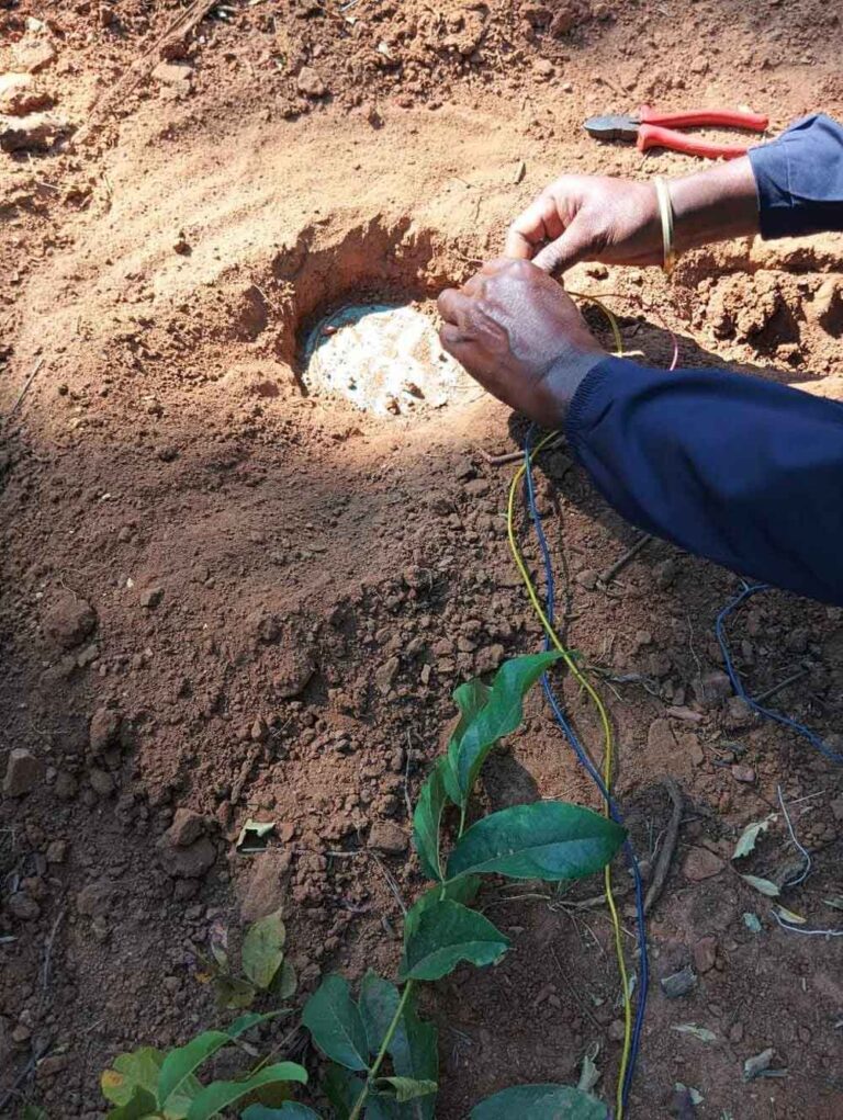 छत्तीसगढ़-बीजापुर में सुरक्षाबलों ने किए पांच-पांच किलो के आठ आईईडी बरामद छत्तीसगढ़-बीजापुर में सुरक्षाबलों ने किए पांच-पांच किलो के आठ आईईडी बरामद