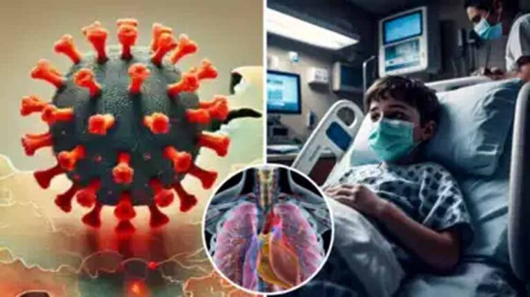 कोविड के बाद अब HMPV का खतरा देश में बढ़ गया, मध्य प्रदेश भी इसको लेकर पूरी तरह अलर्ट है, वेंटिलेटर समेत तैयारी पूरी कोविड के बाद अब HMPV का खतरा देश में बढ़ गया, मध्य प्रदेश भी इसको लेकर पूरी तरह अलर्ट है, वेंटिलेटर समेत तैयारी पूरी