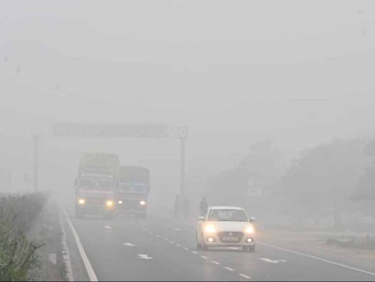 फरवरी महीने के पहले हफ्ते में सात राज्यों में घने कोहरे का अलर्ट जारी, बारिश की चेतावनी जारी: मौसम विभाग