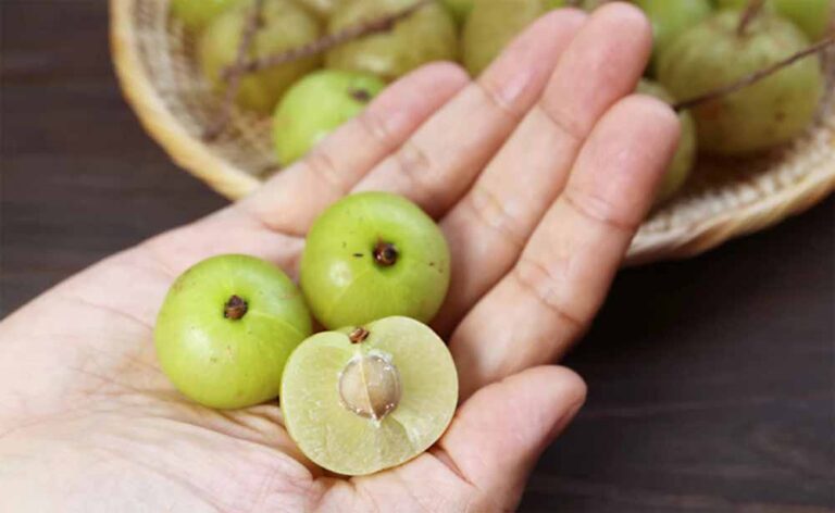 सेहत के लिए बहुत जरूरी है आंवले का सेवन… सेहत के लिए बहुत जरूरी है आंवले का सेवन…