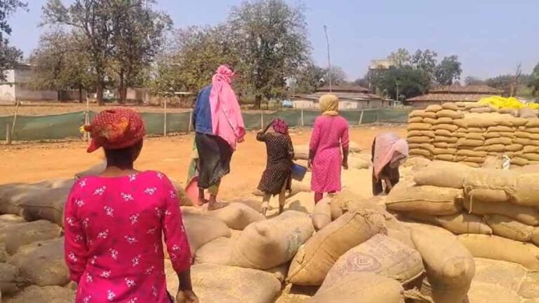 पैसों का लालच देकर स्कूली छात्राओं से कराई हमाली पैसों का लालच देकर स्कूली छात्राओं से कराई हमाली