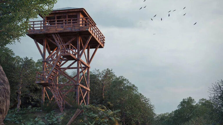 गुड़ी रेंज से वन भूमि को अतिक्रमण मुक्त कराने में वन विभाग को डर सताने लगा, वॉच टॉवर से होगी निगरानी