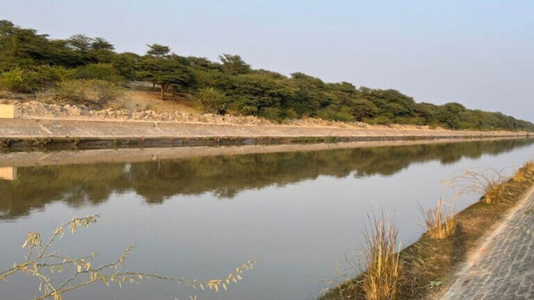 मध्यप्रदेश में पंचायतें 1000 नए तालाबों का निर्माण करेंगी, 1 लाख जलदूत तैयार किए जाएंगे