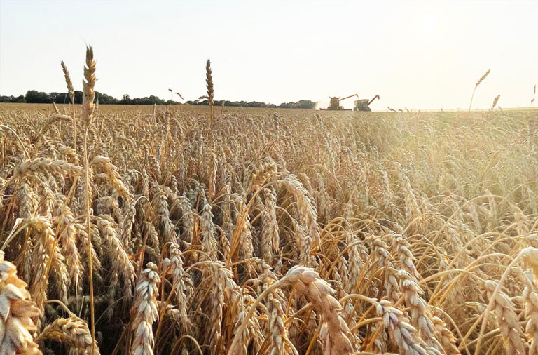 रबी विपणन वर्ष 2025-26 के गेहूँ उपार्जन की अवधि के दौरान उपार्जन केन्द्रों पर आने वाले किसानों के लिए सभी पर्याप्त सुविधाएं