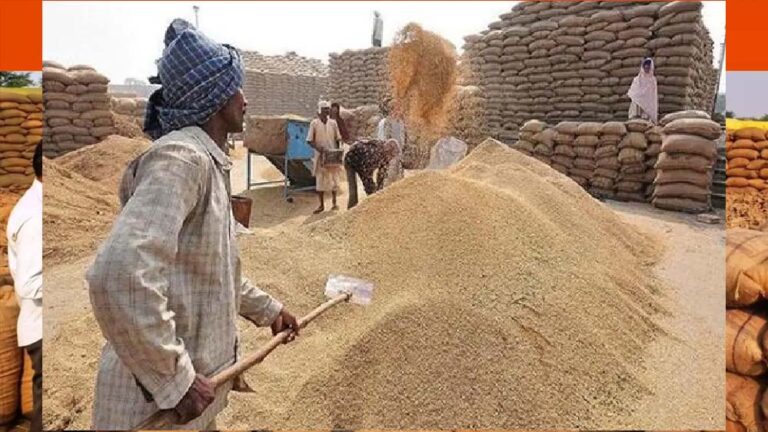 धान खरीदी गड़बड़ी के मामले में सख्त कार्रवाई की जाएगी, फर्जी तरीके से भुगतान लेने वालों की संपत्ति होगी सीज, कलेक्टर ने दिया आदेश