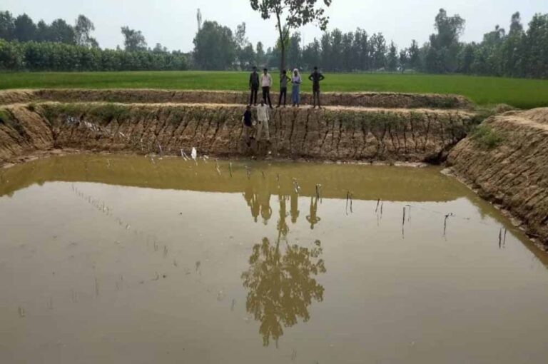 MP सरकार ने सभी ग्राम पंचायतों को ई-ग्राम पंचायत के रूप में विकसित करने का निर्णय लिया: मंत्री पटेल