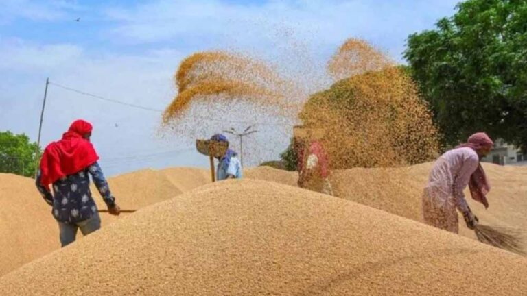 समर्थन मूल्य केंद्रों पर किसानों की गेहूं बेचने की होड़, एक माह की खरीदी में ही सीहोर ने नया रिकॉर्ड बनाया समर्थन मूल्य केंद्रों पर किसानों की गेहूं बेचने की होड़, एक माह की खरीदी में ही सीहोर ने नया रिकॉर्ड बनाया