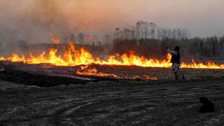आगर मालवा में अब तक नरवाई जलाने वाले 40 से अधिक किसानों को चिन्हित किया गया, अर्थ दंड लगाए जाने की कार्रवाई के निर्देश
