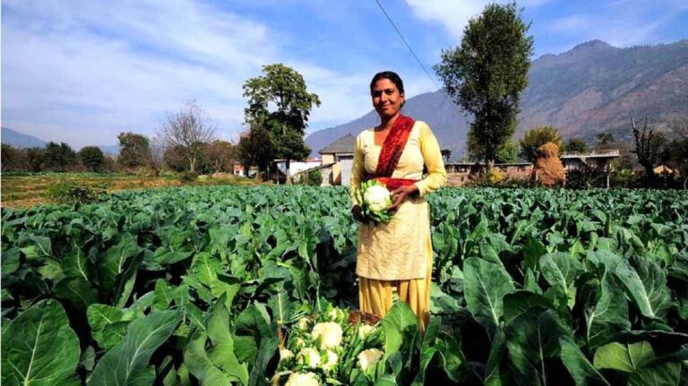 उद्यानिकी एवं खाद्य प्र-संस्करण के क्षेत्र में जिस गति से मध्यप्रदेश ने अपनी पहचान राष्ट्रीय स्तर पर बनाई