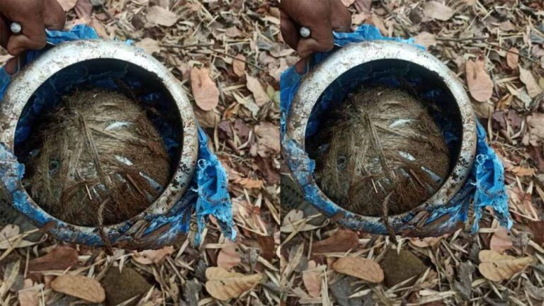 नारायणपुर में जवानों ने डिफ्यूज किया  5 किलो का प्रेशर कुकर IED