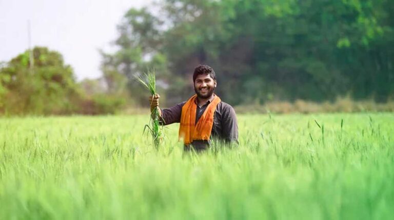 किसानों की आय बढ़ाने और खेती को लाभकारी बनाने के लिए राज्य सरकार प्रतिबद्ध : कृषि मंत्री कंषाना किसानों की आय बढ़ाने और खेती को लाभकारी बनाने के लिए राज्य सरकार प्रतिबद्ध : कृषि मंत्री कंषाना
