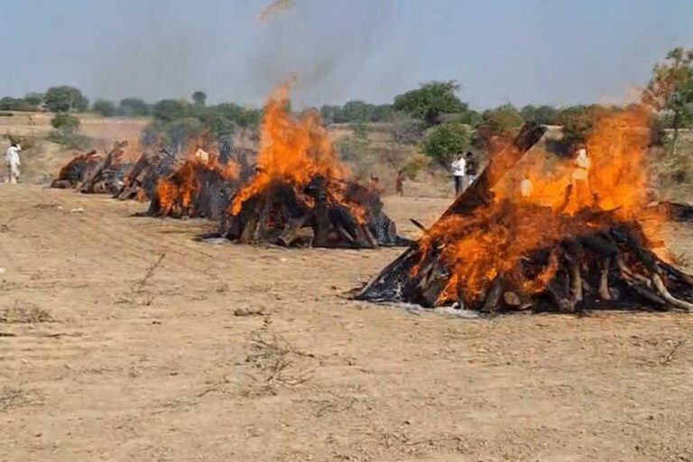 रतलाम में एक साथ उठी 6 अर्थियां, सीएम ने किया मुआवजे का एलान, 4 का उज्जैन-मंदसौर में अंतिम संस्कार