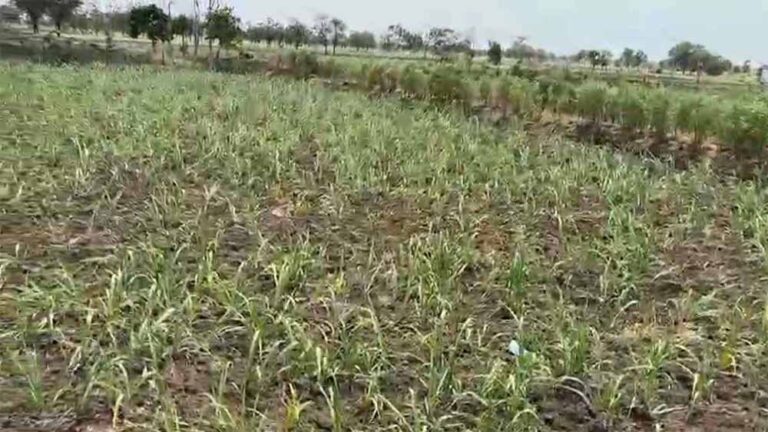 कवर्धा में किसान बूंद-बूंद पानी को तरस रहे,  अफसरों और ग्रामीणों के बीच बैठक में नहीं निकला समाधान