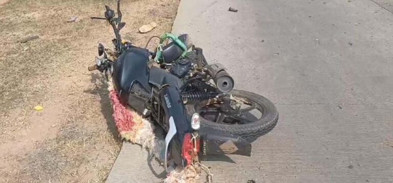 झाबुआ जिले के मेघनगर में तेज रफ्तार ट्राले की टक्कर से बाइक सवार दो की मौत, एक की हालत गंभीर झाबुआ जिले के मेघनगर में तेज रफ्तार ट्राले की टक्कर से बाइक सवार दो की मौत, एक की हालत गंभीर
