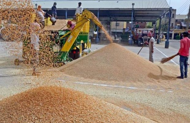 MSP पर प्रदेश में अभी तक एक लाख 25 हजार 631 किसानों से 10 लाख 25 हजार 735 मीट्रिक टन गेहूँ का हुआ उपार्जन : मंत्री राजपूत MSP पर प्रदेश में अभी तक एक लाख 25 हजार 631 किसानों से 10 लाख 25 हजार 735 मीट्रिक टन गेहूँ का हुआ उपार्जन : मंत्री राजपूत