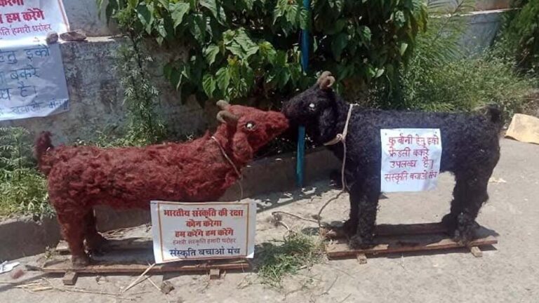 संस्कृति बचाओ मंच ने हिंदूों से भी मांग करते हुए कहा कि वह मुस्लिमों को बकरे ना बेचें, ईको-फ्रेंडली ईद मनाने अपील संस्कृति बचाओ मंच ने हिंदूों से भी मांग करते हुए कहा कि वह मुस्लिमों को बकरे ना बेचें, ईको-फ्रेंडली ईद मनाने अपील