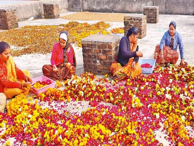 श्री ओंकारेश्वर ज्योतिर्लिंग : आस्था के साथ पर्यावरण संरक्षण और महिला सशक्तिकरण का प्रतीक श्री ओंकारेश्वर ज्योतिर्लिंग : आस्था के साथ पर्यावरण संरक्षण और महिला सशक्तिकरण का प्रतीक
