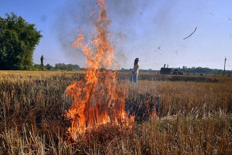 छतरपुर में पराली जलाने से भीषण आग, तीन दर्जन घर जलकर हुए राख छतरपुर में पराली जलाने से भीषण आग, तीन दर्जन घर जलकर हुए राख