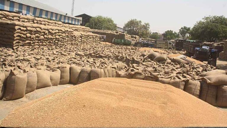 किसानों के स्लॉट बुक वह पांच मई तक करा सकेंगे समर्थन मूल्य केन्द्रों पर गेहूं की तौल किसानों के स्लॉट बुक वह पांच मई तक करा सकेंगे समर्थन मूल्य केन्द्रों पर गेहूं की तौल