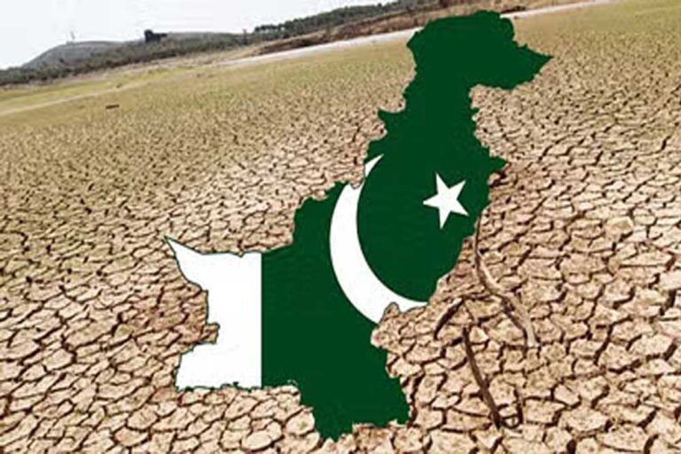 मोदी के इस कदम से परेशान हैं पाकिस्तानी पंजाब के किसान, बांधों में डेड लेवल पर पहुंचा पानी, कपास का उत्पादन 30% गिरा