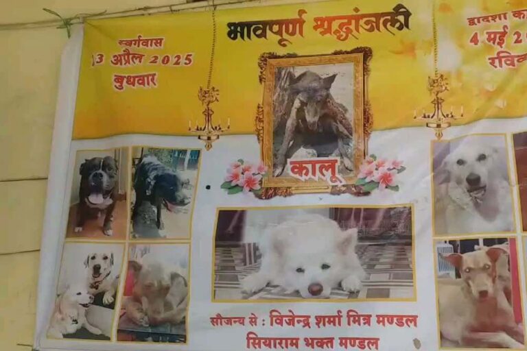 देश के सबसे स्वच्छ शहर में पालतू जानवरों का अब होगा अंतिम संस्कार, हरियाणा की कंपनी से नगर निगम का अनुबंध