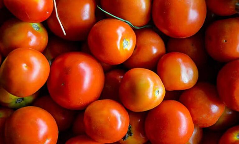 टमाटर के दाम में 20 रुपए प्रति किलो की उछाल, बिगाड़ा सब्जी बाजार, कीमतें छूने लगीं आसमान