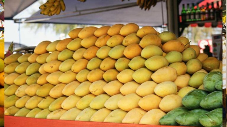 मध्यप्रदेश में इस बार आम 7 फीसदी सस्ता बिक रहा, उसके पीछे है अमेरिका