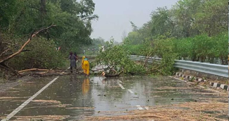 मध्यप्रदेश के 45 जिलों में आज आंधी-बारिश का अलर्ट! सनसनाती चलेंगी हवाएं, मानसून को लेकर भी आया बड़ा अपडेट