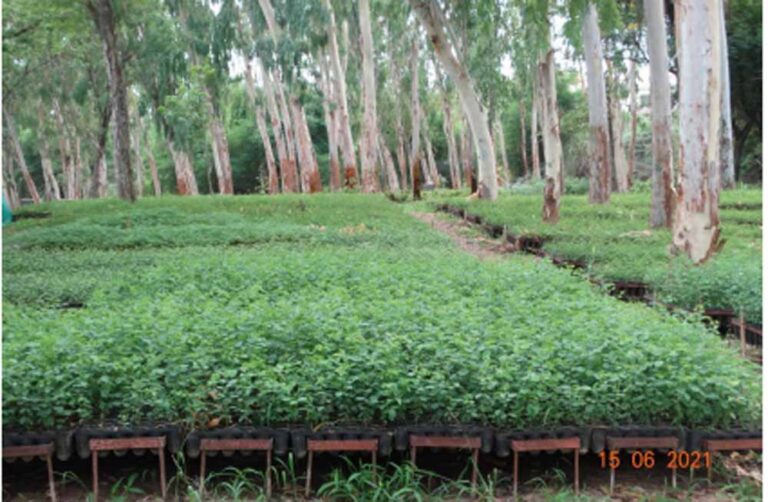 जल गंगा संवर्धन अभियान में वन विभाग की प्रभावी पहल