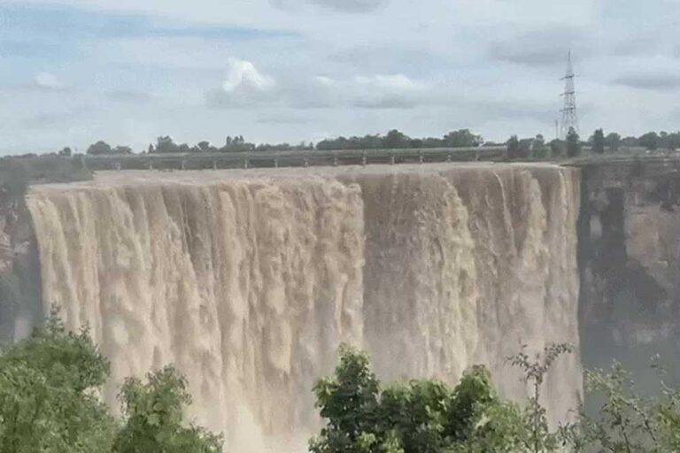 REWA वाटर फॉल उमड़ा जनसैलाब, प्रशासन हाई अलर्ट कलेक्टर ने पटवारियों की लगाई ड्यूटी REWA वाटर फॉल उमड़ा जनसैलाब, प्रशासन हाई अलर्ट कलेक्टर ने पटवारियों की लगाई ड्यूटी