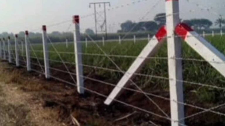 फसलों को जंगली जानवरों से बचाने के लिए खेतों पर जाली लगाने का आधा खर्चा राज्य सरकार वहन करेगी